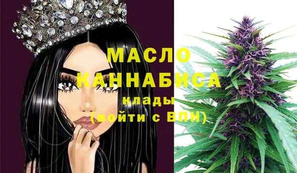 ECSTASY Вяземский